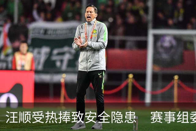 汪顺受热捧致安全隐患　赛事组委会设置观众警戒线